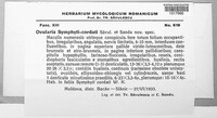 Ovularia symphyti-cordati image